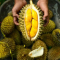 Cara Menghilangkan Bau Setelah Makan Buah Durian