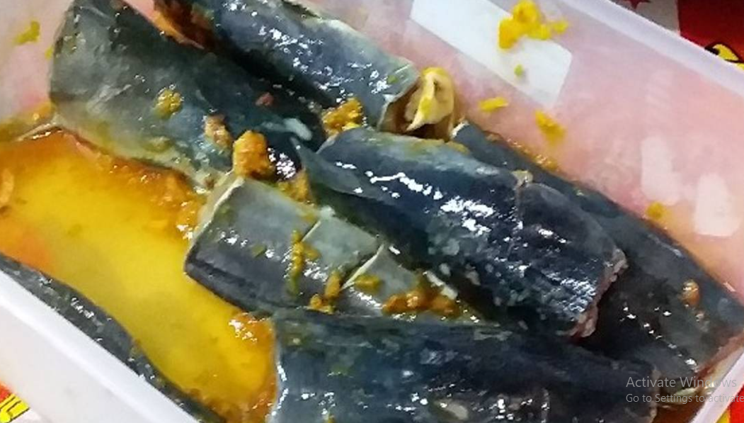 Manfaat Telur Ikan Lele