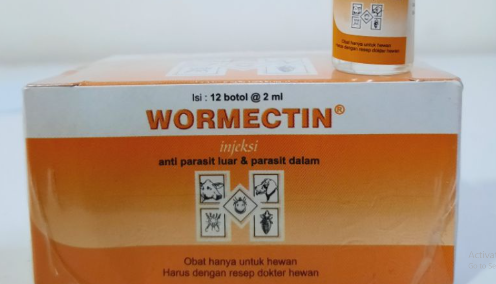 Efek Samping Wormectin pada Kucing