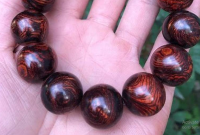 Gelang Kayu Laka Menang Kalimantan