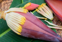 Manfaat Jantung Pisang untuk Kesehatan