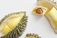 Manfaat Biji Durian untuk Kesehatan