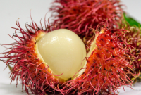 Manfaat Buah Rambutan untuk Kesehatan