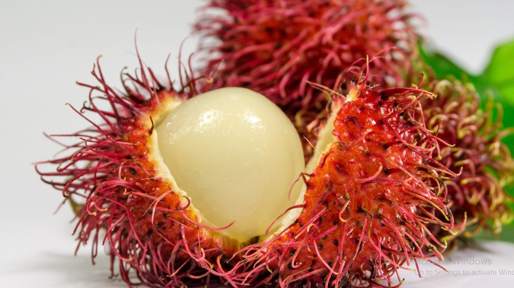 Manfaat Buah Rambutan untuk Kesehatan