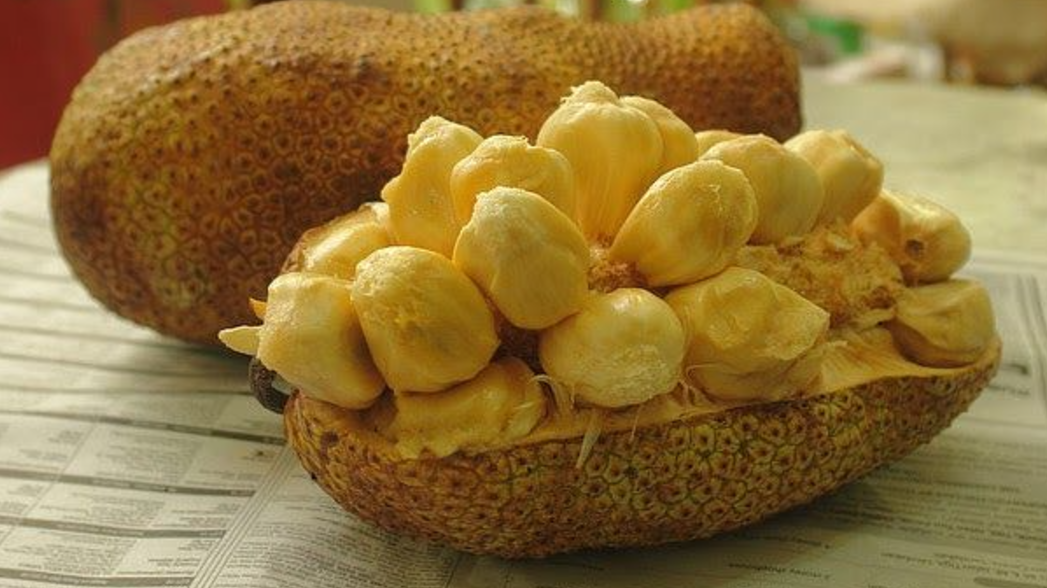 Manfaat Buah Cempedak untuk Kesehatan