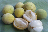 Manfaat Buah Duku