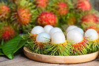 Cara Menanam Rambutan